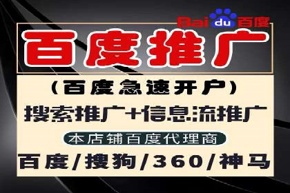 百度竞价推广公司经典案例解析：广告投放策略的智慧